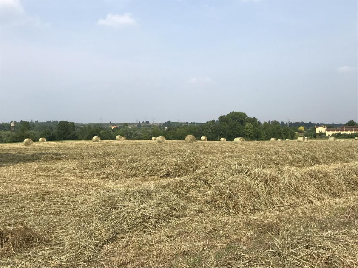 Agriturismo Corte Salandini Hotel Ponti sul Mincio Zewnętrze zdjęcie