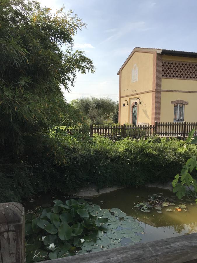 Agriturismo Corte Salandini Hotel Ponti sul Mincio Zewnętrze zdjęcie
