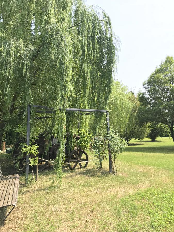 Agriturismo Corte Salandini Hotel Ponti sul Mincio Zewnętrze zdjęcie