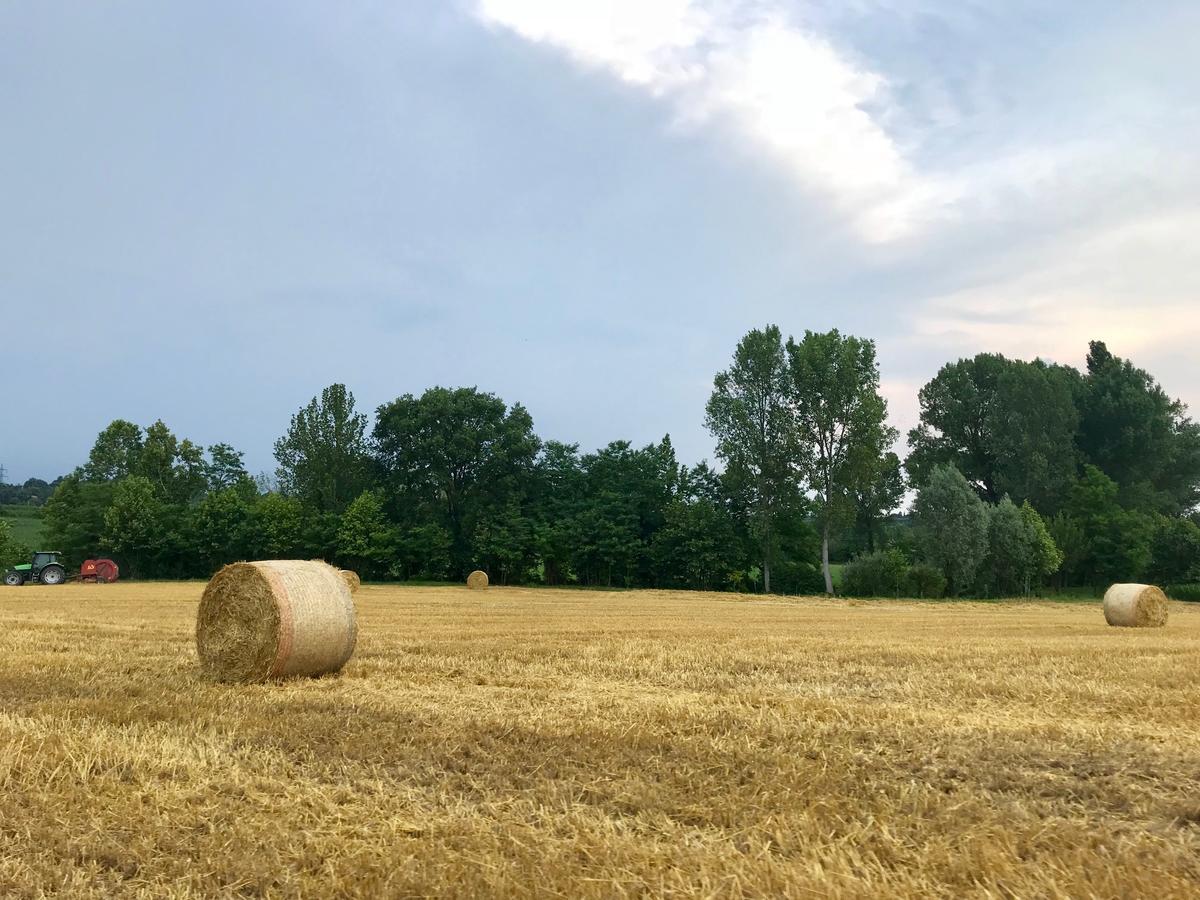 Agriturismo Corte Salandini Hotel Ponti sul Mincio Zewnętrze zdjęcie
